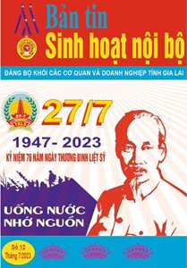 Bản tin sinh hoạt nội bộ số 12 (tháng 7/2023)