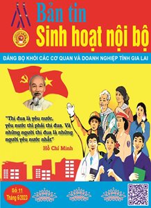 Bản tin sinh hoạt nội bộ số 11